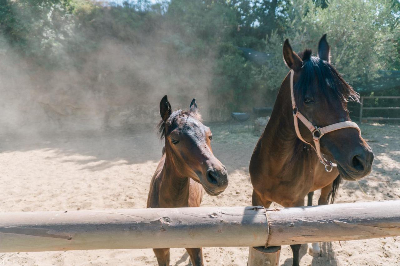 Leano Agriresort ピアッツァ・アルメリーナ エクステリア 写真