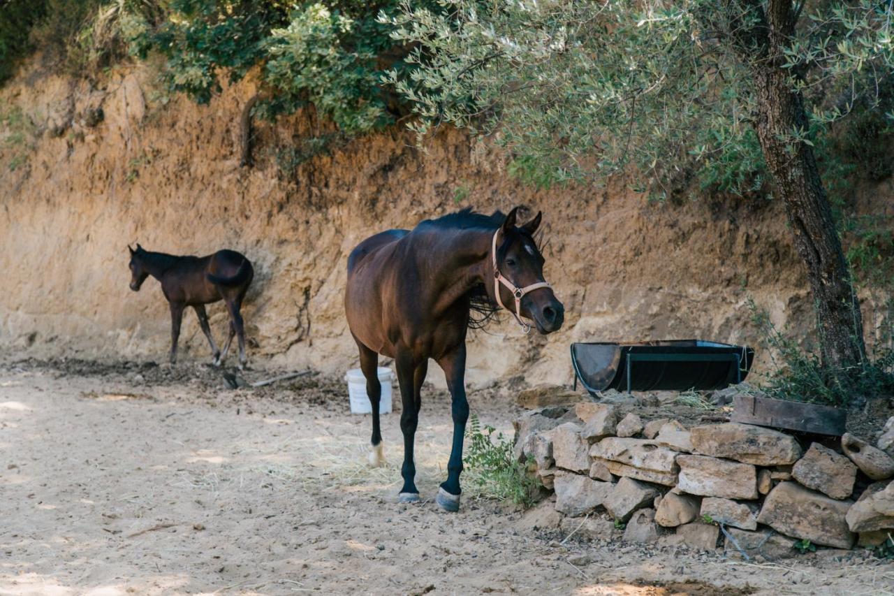 Leano Agriresort ピアッツァ・アルメリーナ エクステリア 写真