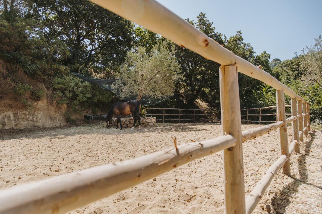 Leano Agriresort ピアッツァ・アルメリーナ エクステリア 写真